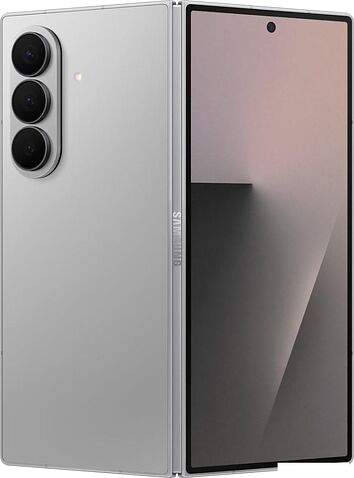 Телефон Samsung Galaxy Z Fold7 SM-F966B/DS 12GB/512GB (серебристый)
