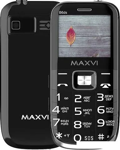 Кнопочный телефон Maxvi B6ds (черный)