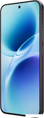 Телефон Vivo X300 FE V2537 12GB/256GB международная версия (графитовый черный)