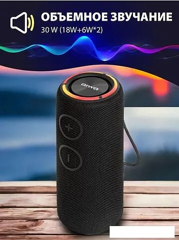 Беспроводная колонка Aiwa PAS-H300 (черный)