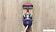 Пылесос Dyson V11 Fluffy 476550-01
