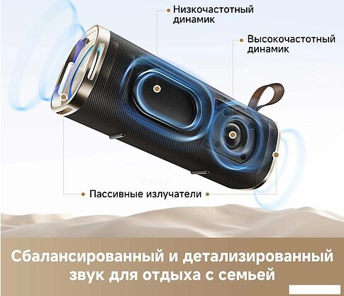Беспроводная колонка Dreame Bluetooth Speaker S10 (черный)