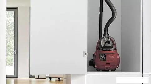Пылесос Bosch Serie 4 BGC21X350