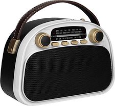 Радиоприемник Ritmix RPR-040 (белый)