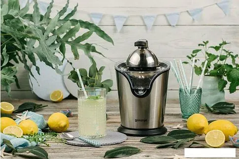 Соковыжималка Gorenje CJ100HE