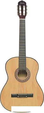Акустическая гитара Terris TC-3901A NA