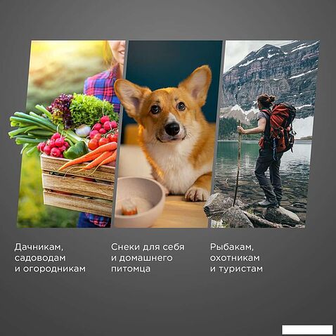 Сушилка для овощей и фруктов Redmond (Редмонд) FD1104