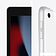 Планшет Apple iPad 10.2" 2021 256GB 5G MK4H3 (серебристый)