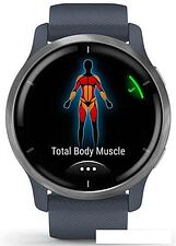 Умные часы Garmin Venu 2 (нержавеющая сталь/синий гранит)