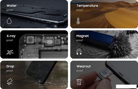 Карта памяти Samsung EVO Plus 2024 microSDXC 256GB (с адаптером)