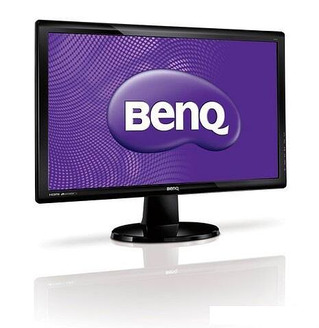 Монитор BenQ GL2450