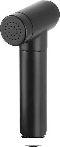 Гигиенический душ Deante BCHSN4BT-4