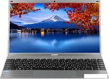 Ноутбук Echips Envy NX140A-R-1