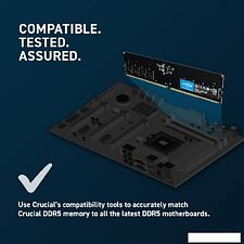 Оперативная память Crucial 8ГБ DDR5 4800 МГц CB8GU4800