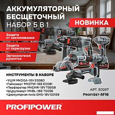 Profipower ProfiSet-5F18 E0267 (болгарка, гайковерт, перфоратор, шуруповерт, циркулярка, 3 АКБ, кейс)
