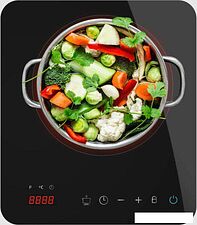 Настольная плита Cecotec Full Magma Single