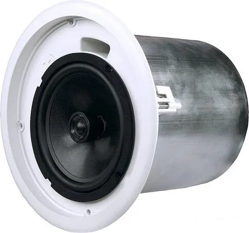 Концертная акустика QSC AC-C8T