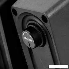 Акустика SVEN 300