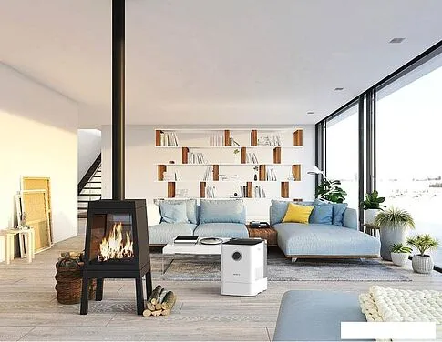 Мойка воздуха Boneco Air-O-Swiss W300