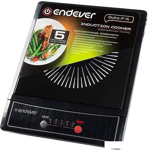 Настольная плита Endever Skyline IP-16