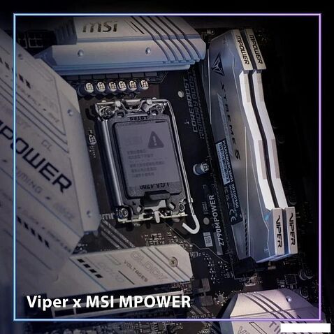 Оперативная память Patriot Viper Xtreme 5 2x24ГБ DDR5 6400 МГц PVXR548G64C32KM