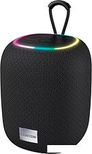 Беспроводная колонка Canyon BSP-8 (черный) Беспроводная колонка Canyon BSP-8 (черный)