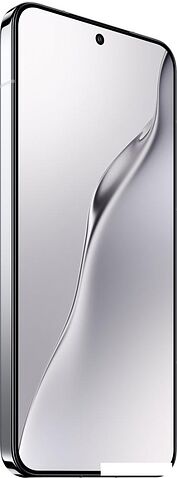 Телефон Xiaomi 15 12GB/256GB международная версия (серебристый)