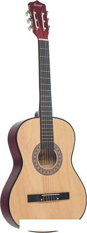 Акустическая гитара Terris TC-3801A NA