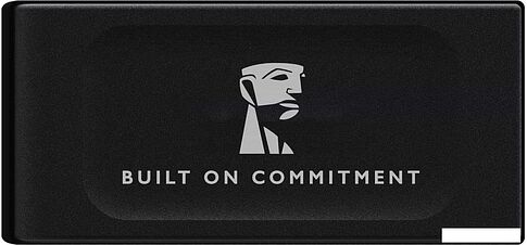 Внешний накопитель Kingston XS1000 2TB SXS1000/2000GA