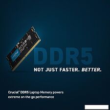 Оперативная память Crucial 16ГБ DDR5 SODIMM 5600МГц CT16G56C46S5 Оперативная память Crucial 16ГБ DDR5 SODIMM 5600МГц CT16G56C46S5