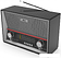 Радиоприемник Ritmix RPR-102 (карбон)