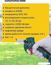 Секатор Pioneer Tools BP-20V20BL-01 (с 1-им АКБ, кейс)
