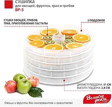 Сушилка для овощей и фруктов Великие Реки ВР-5 (прозрачный/белый) Сушилка для овощей и фруктов Великие Реки ВР-5 (прозрачный/белый)