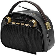 Радиоприемник Ritmix RPR-040 (черный)