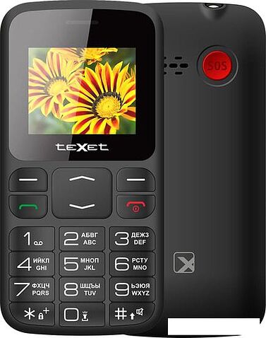 Мобильный телефон TeXet TM-B208 (черный)