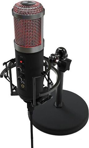 Микрофон Ritmix RDM-260 USB Eloquence