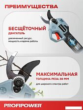 Секатор Profipower PC-20B (с 1-им АКБ, кейс)