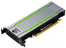 Видеокарта NVIDIA Tesla T4 16GB GDDR6 900-2G183-6300-T00 Видеокарта NVIDIA Tesla T4 16GB GDDR6 900-2G183-6300-T00