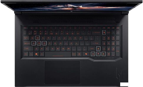 Игровой ноутбук Acer Nitro V 17 AI ANV17-41-R0P2 NH.QYVCD.006
