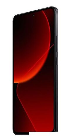 Смартфон Xiaomi 13T Pro 12GB/256GB международная версия (черный)