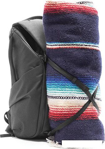 Рюкзак Peak Design Everyday Backpack 20L V2 (black)