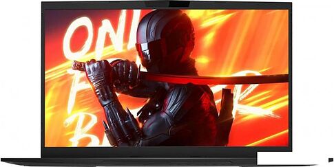 Игровой ноутбук Maibenben X725 X725FSFNLBRE0