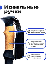 Палки для скандинавской ходьбы RoadLike Carbon 381223 (черный) Палки для скандинавской ходьбы RoadLike Carbon 381223 (черный)