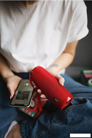 Беспроводная колонка More Choice BS22 (красный)