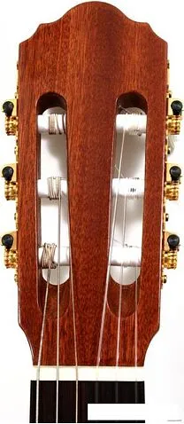 Акустическая гитара Kremona R65S