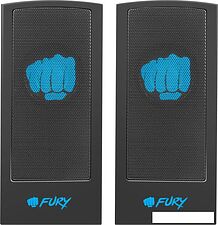 Акустика Fury Skyray