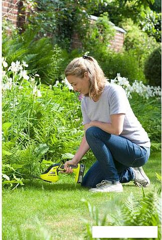 Садовые ножницы Ryobi OGS1822 [5133002830]