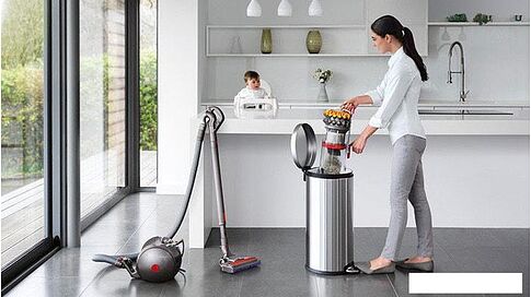 Пылесос Dyson Big Ball Multifloor 2+