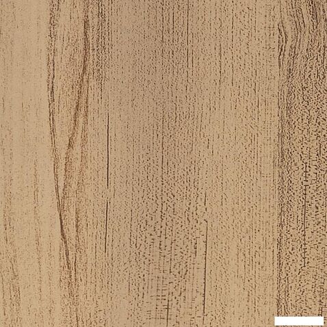 Комод Импэкс Leset Ноа 4 ящика узкий (белый/светло-серый)