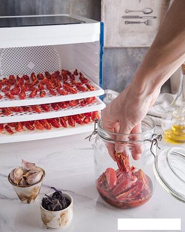 Сушилка для овощей и фруктов StarWind SFD6430